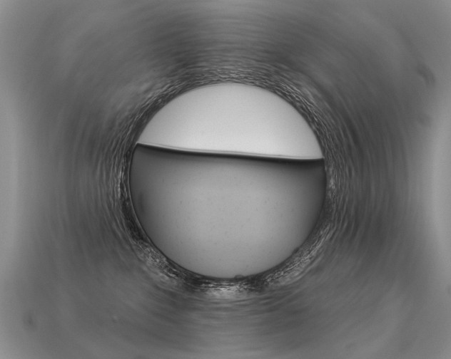 X0000113550235200909181006