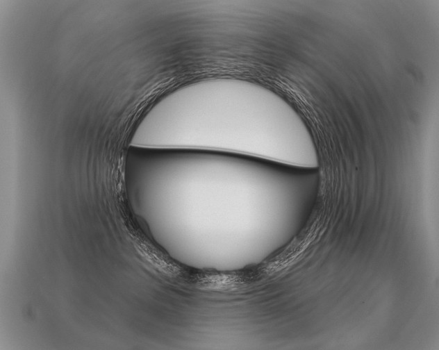 X0000113550237200909181006