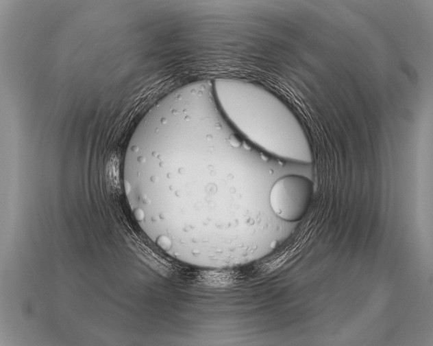 X0000113550238200909181006