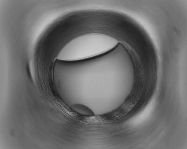X0000113550239200909181006