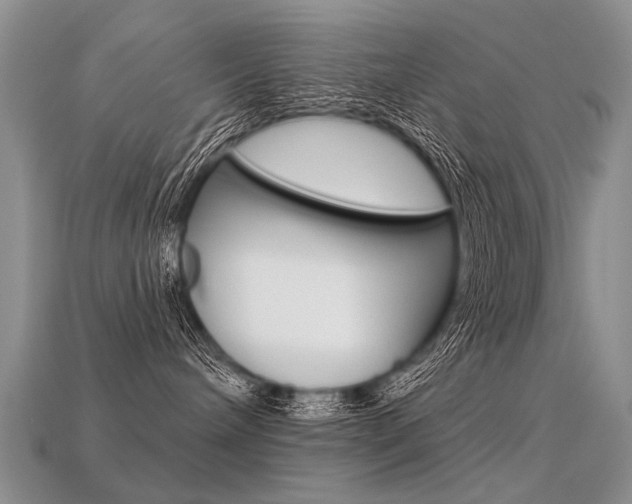 X0000113550240200909181006