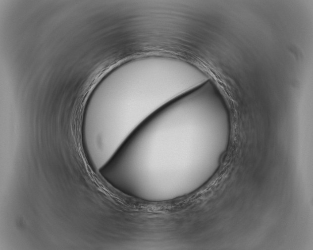 X0000113550241200909181005
