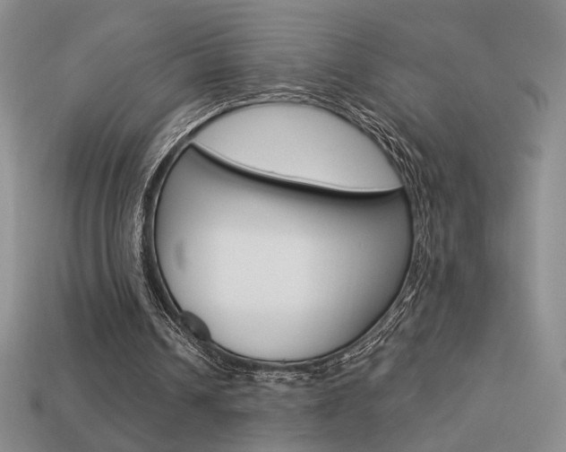 X0000113550242200909181005