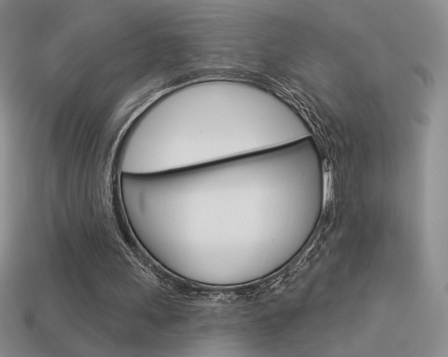 X0000113550243200909181005