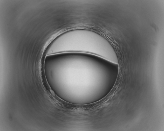 X0000113550244200909181005