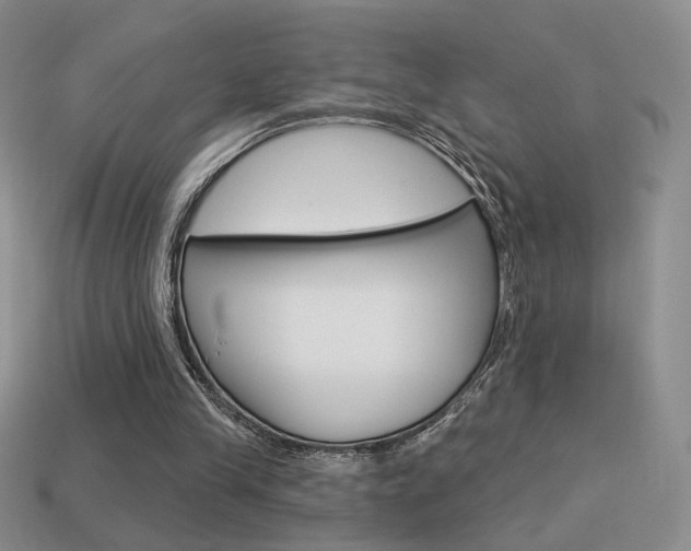 X0000113550245200909181005