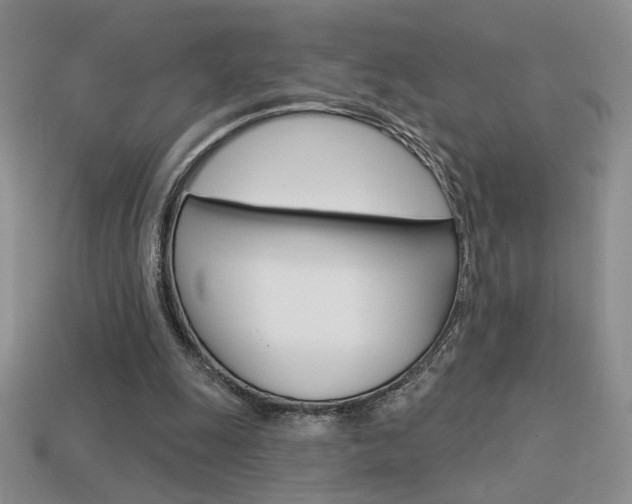 X0000113550247200909181005