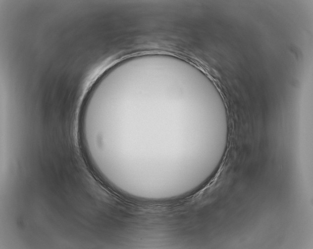 X0000113550248200909181005