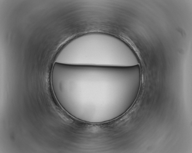 X0000113550249200909181005