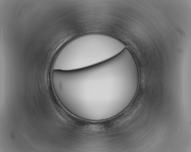 X0000113550251200909181005