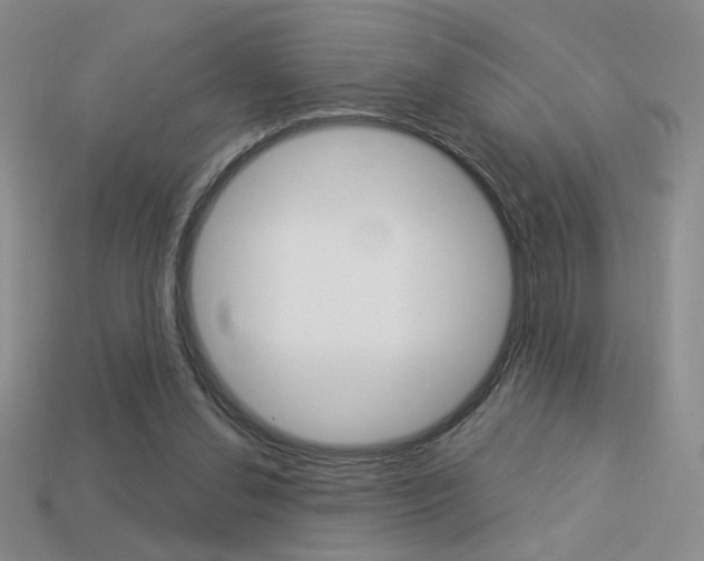 X0000113550252200909181005