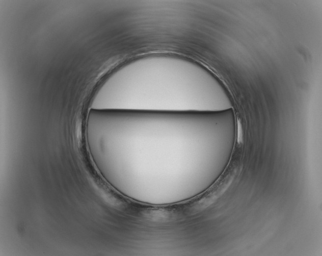 X0000113550253200909181005