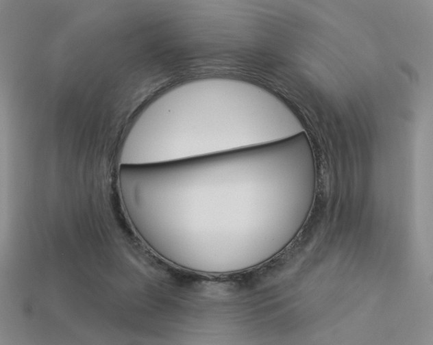 X0000113550255200909181005