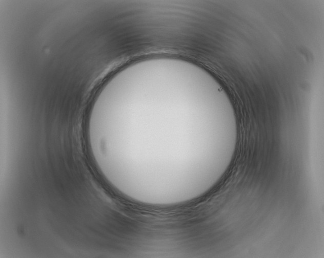 X0000113550256200909181005
