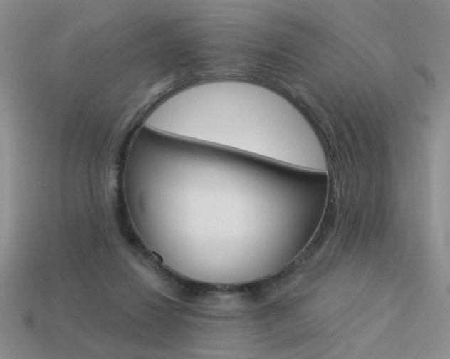 X0000113550260200909181005