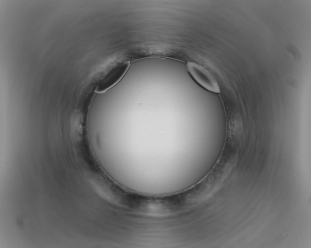 X0000113550264200909181005