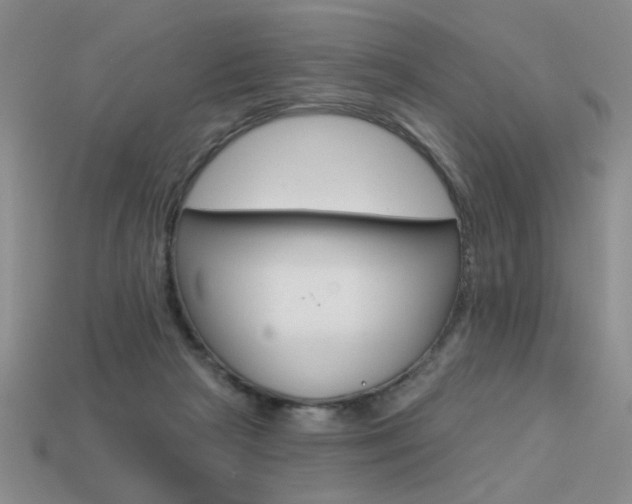 X0000113550265200909181005