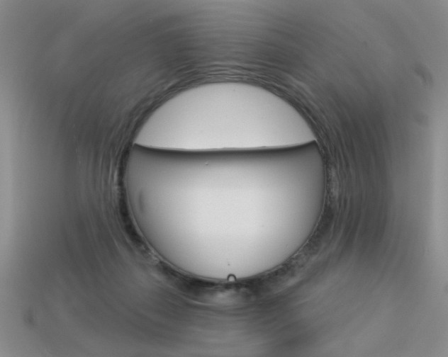 X0000113550267200909181005