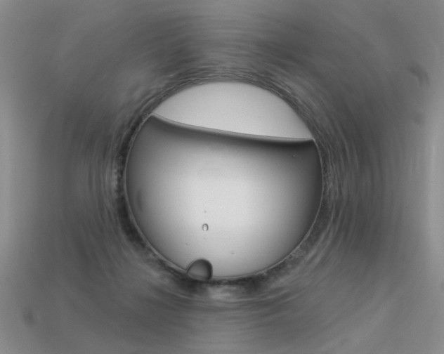 X0000113550268200909181005
