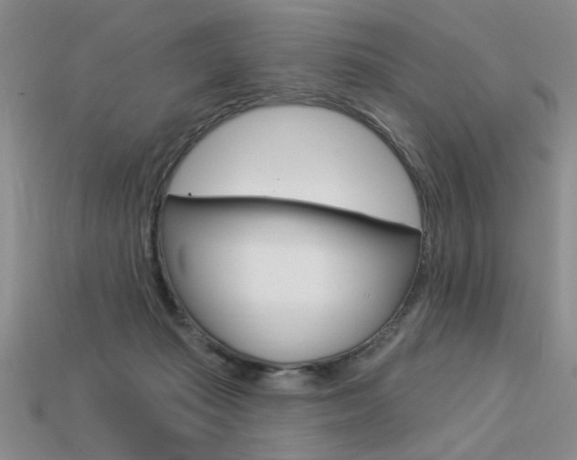 X0000113550269200909181005