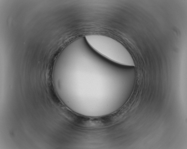 X0000113550270200909181005