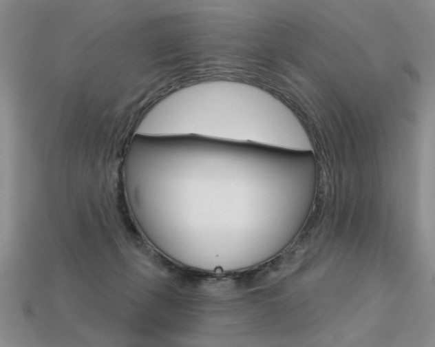 X0000113550271200909181005