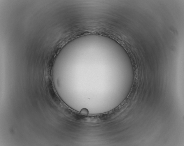 X0000113550272200909181005