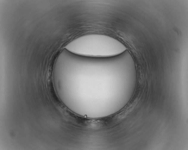 X0000113550273200909181005