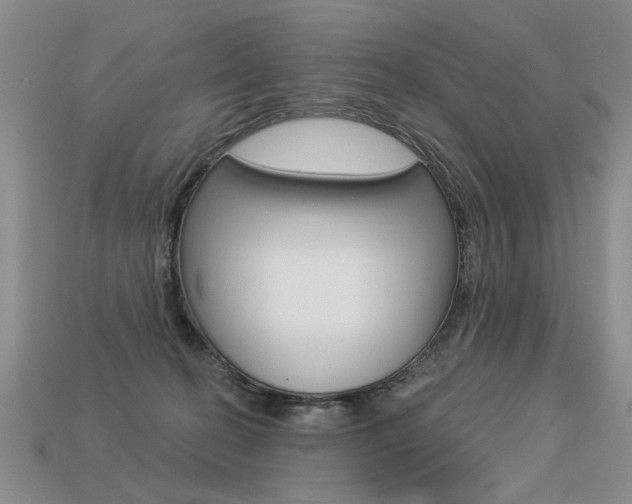 X0000113550274200909181005