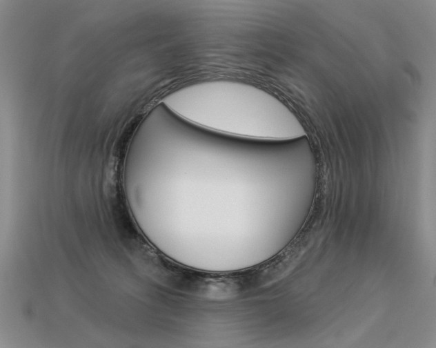 X0000113550275200909181005