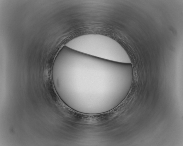 X0000113550276200909181005