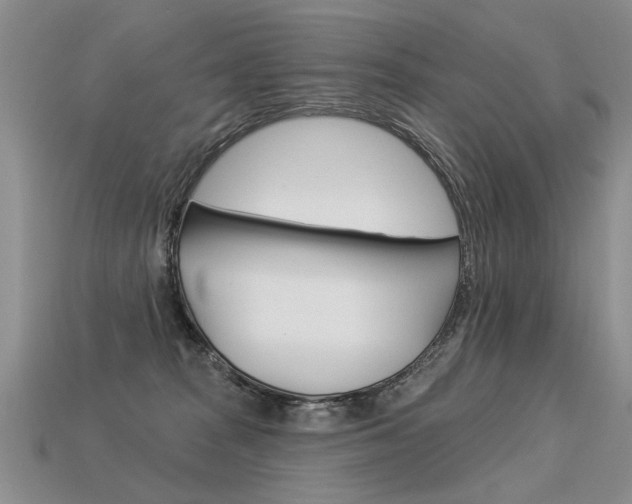 X0000113550277200909181005