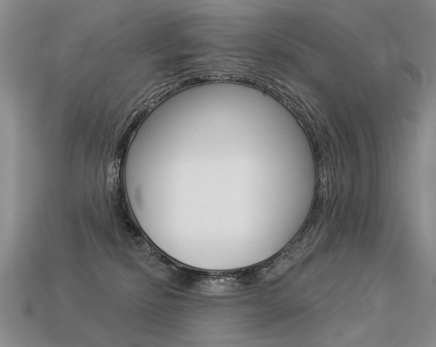 X0000113550278200909181006