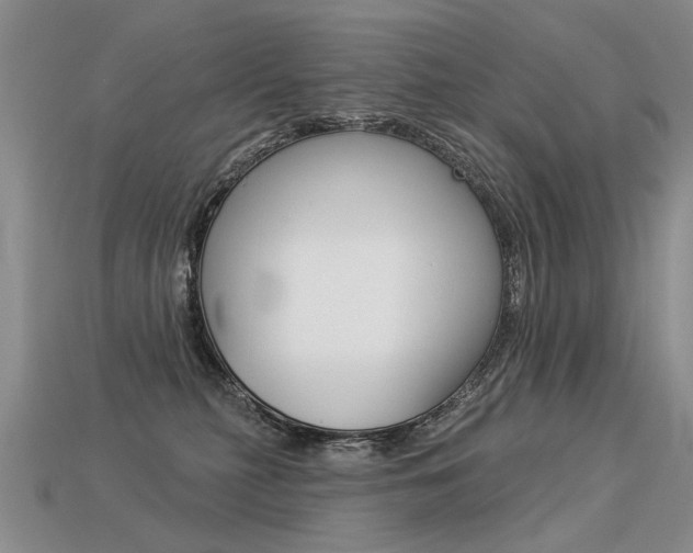 X0000113550279200909181006