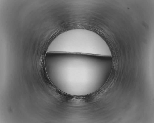 X0000113550280200909181006