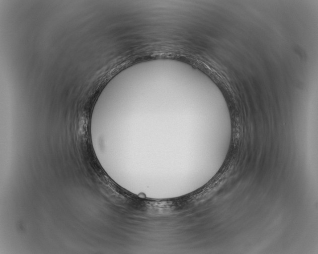 X0000113550281200909181006