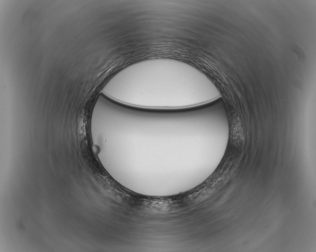 X0000113550282200909181006