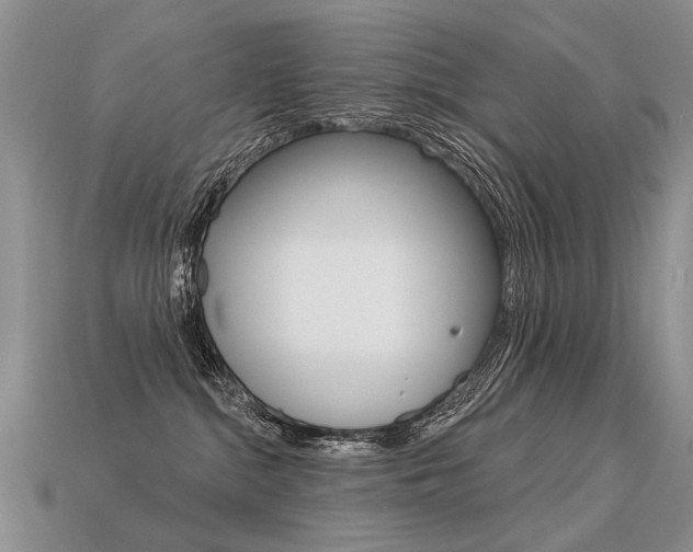 X0000113550284200909181006