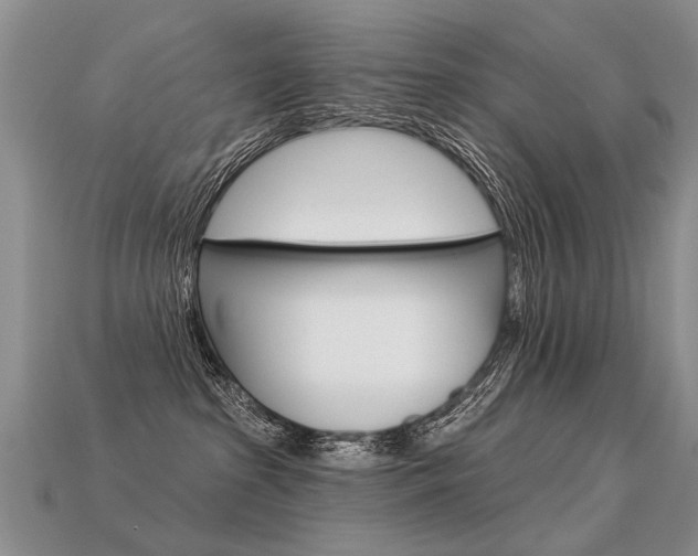 X0000113550285200909181006