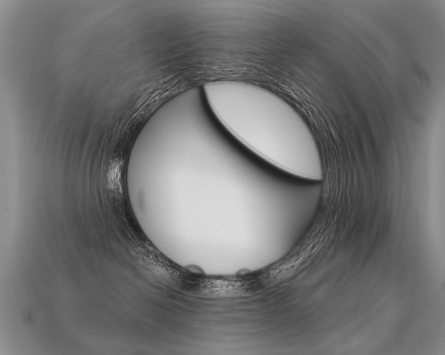 X0000113550286200909181006
