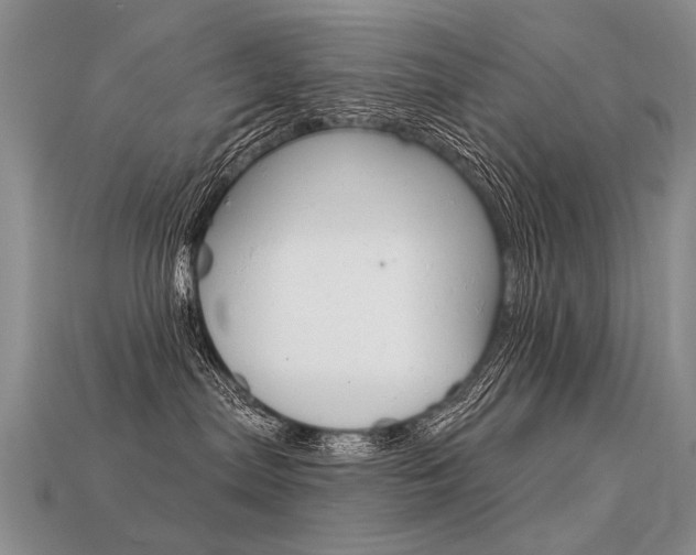 X0000113550287200909181006