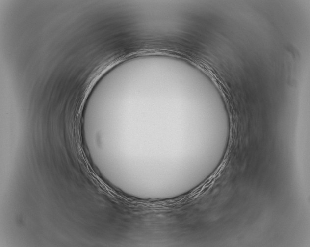 X0000113550289200909181005