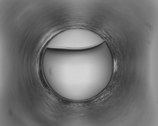 X0000113550291200909181005
