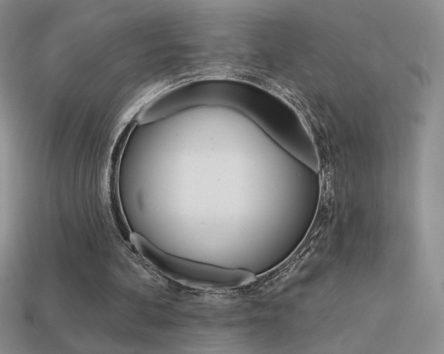 X0000113550292200909181005
