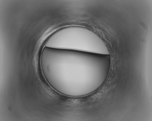X0000113550295200909181005