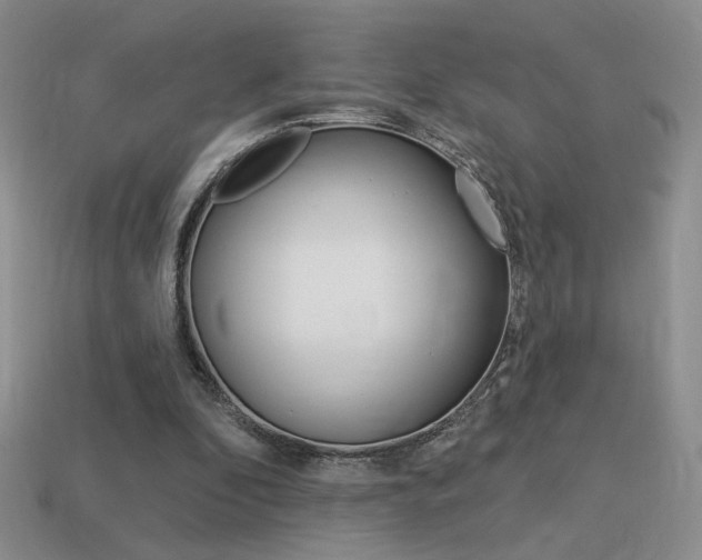 X0000113550296200909181005