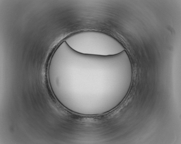 X0000113550298200909181005