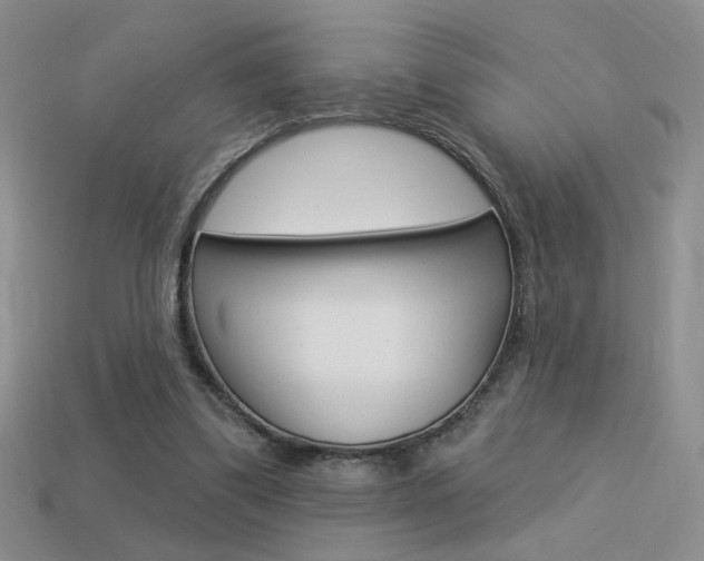 X0000113550299200909181005