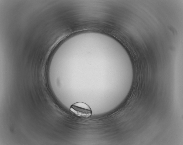 X0000113550300200909181005