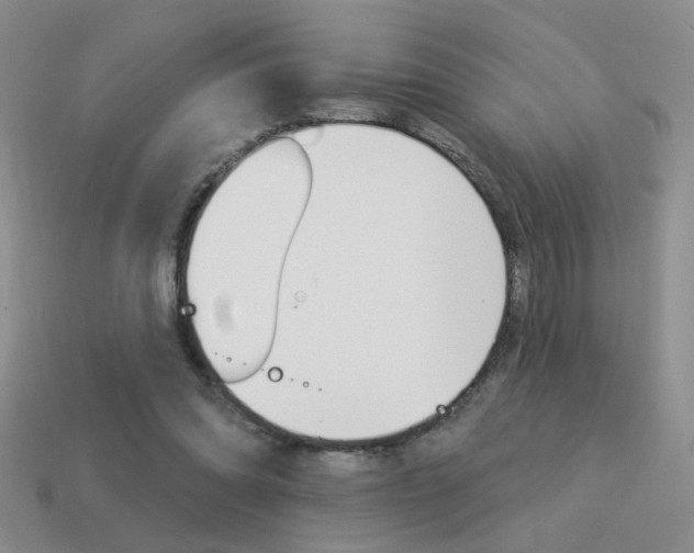 X0000113550302200909181005